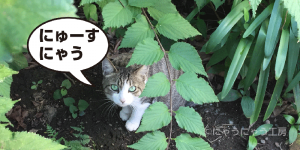 AWS、マネージドKubernetesサービス「Amazon EKS」の価格を半額に ...